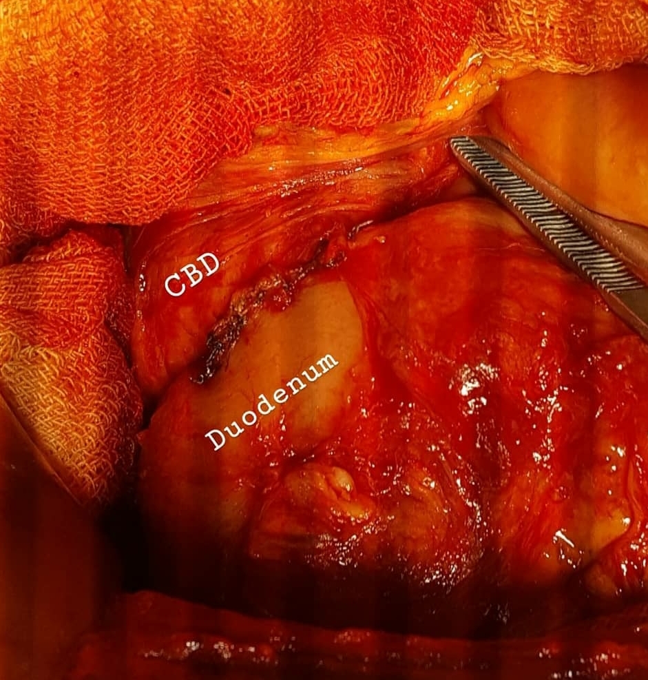 عکس دکتر امین گرجی زاده