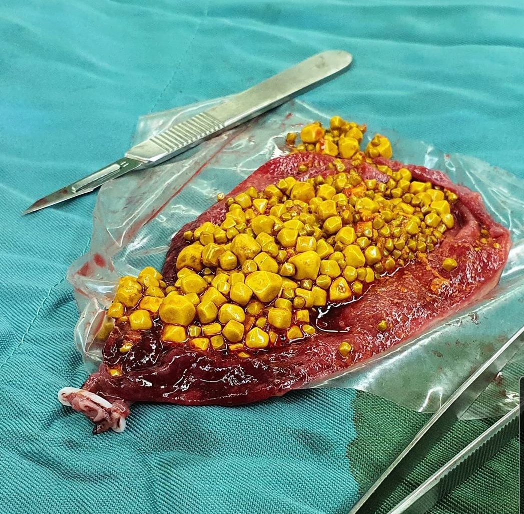 عکس دکتر امین گرجی زاده