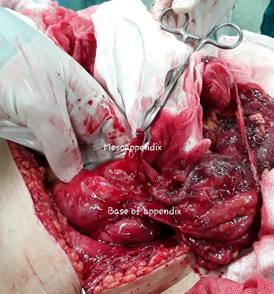 عکس دکتر امین گرجی زاده