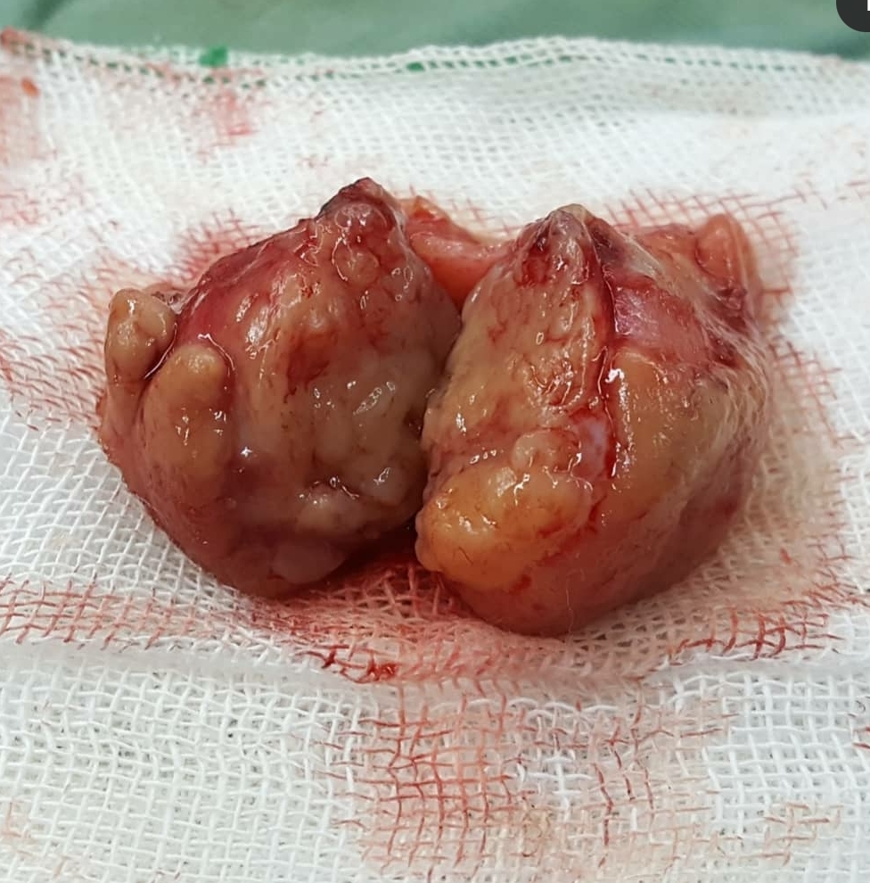 عکس دکتر امین گرجی زاده