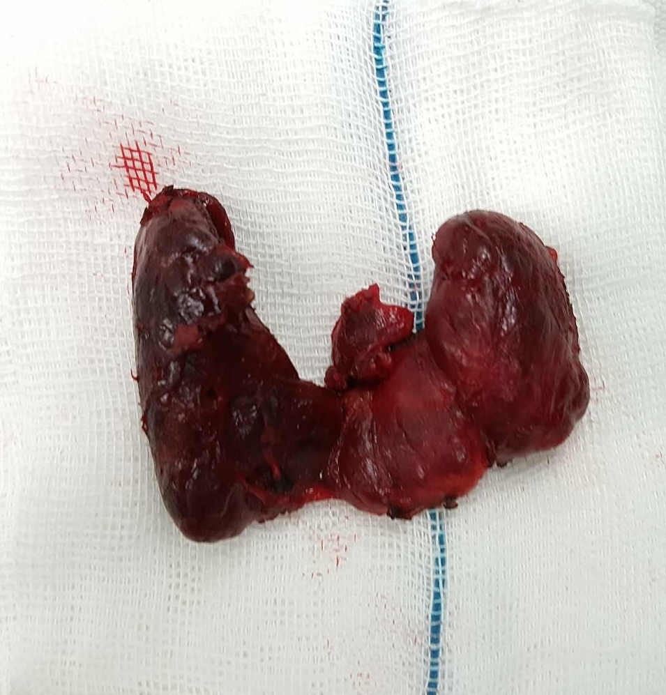 عکس دکتر امین گرجی زاده