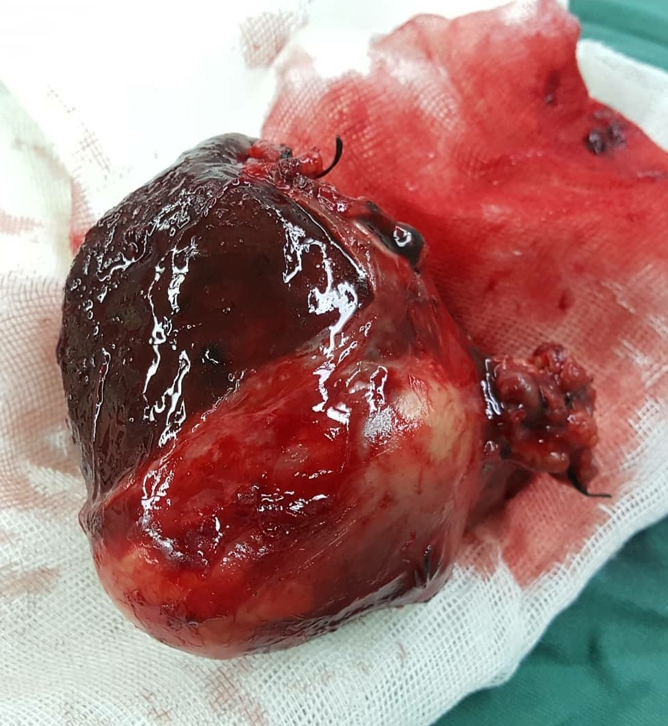 عکس دکتر امین گرجی زاده