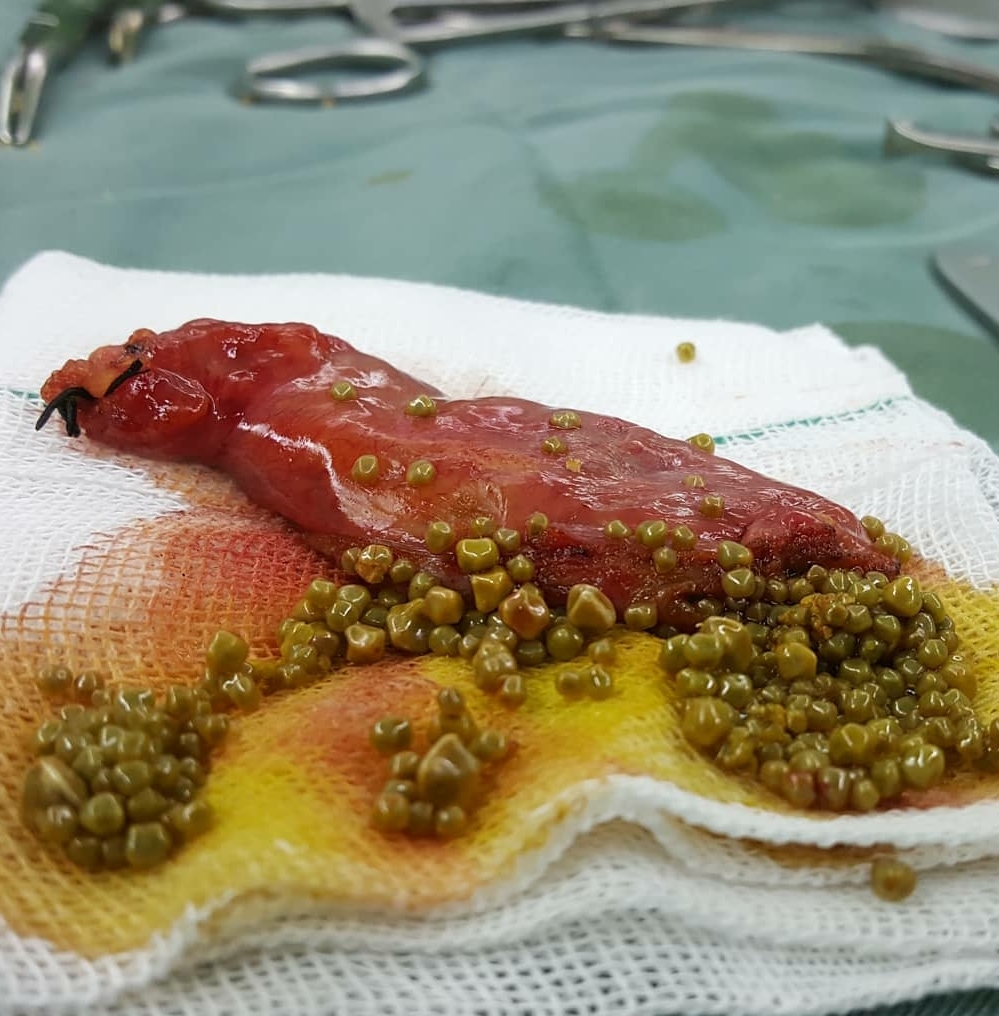 عکس دکتر امین گرجی زاده